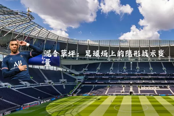 混合草坪:足球场上的隐形战术变量
