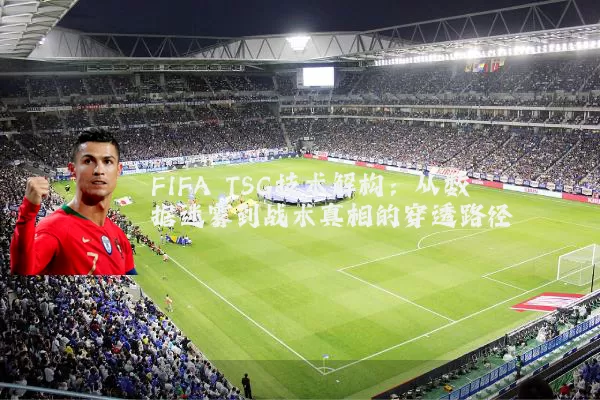 FIFA TSG技术解构：从数据迷雾到战术真相的穿透路径